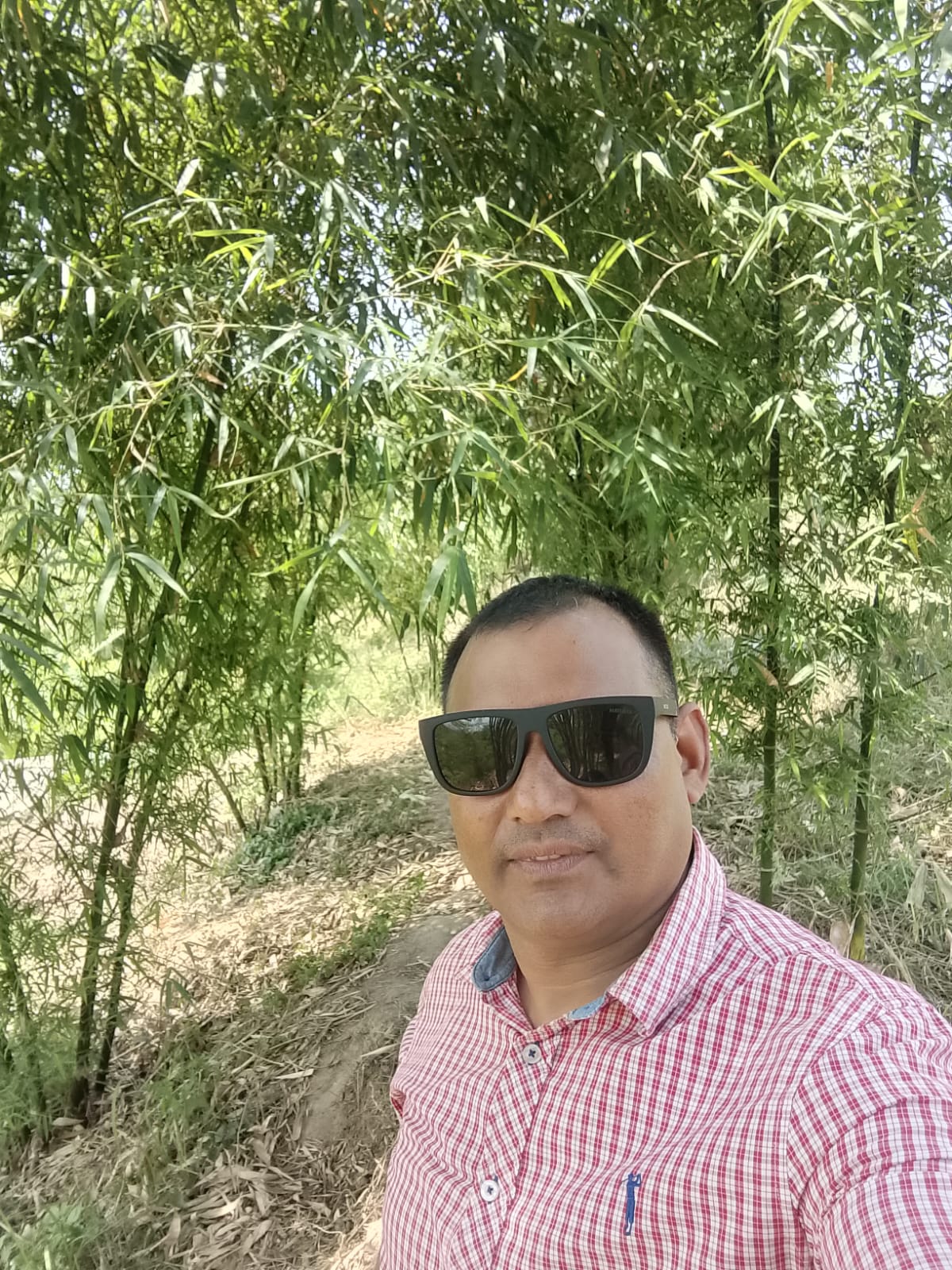 अनुसन्धान तथा अध्ययन